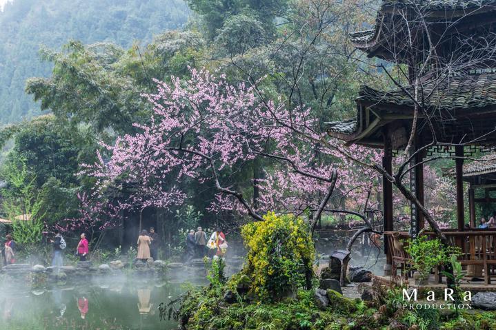 逃出诡异堡垒
