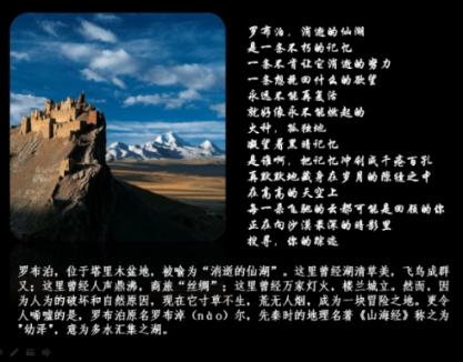 植物大战僵尸：花园战争